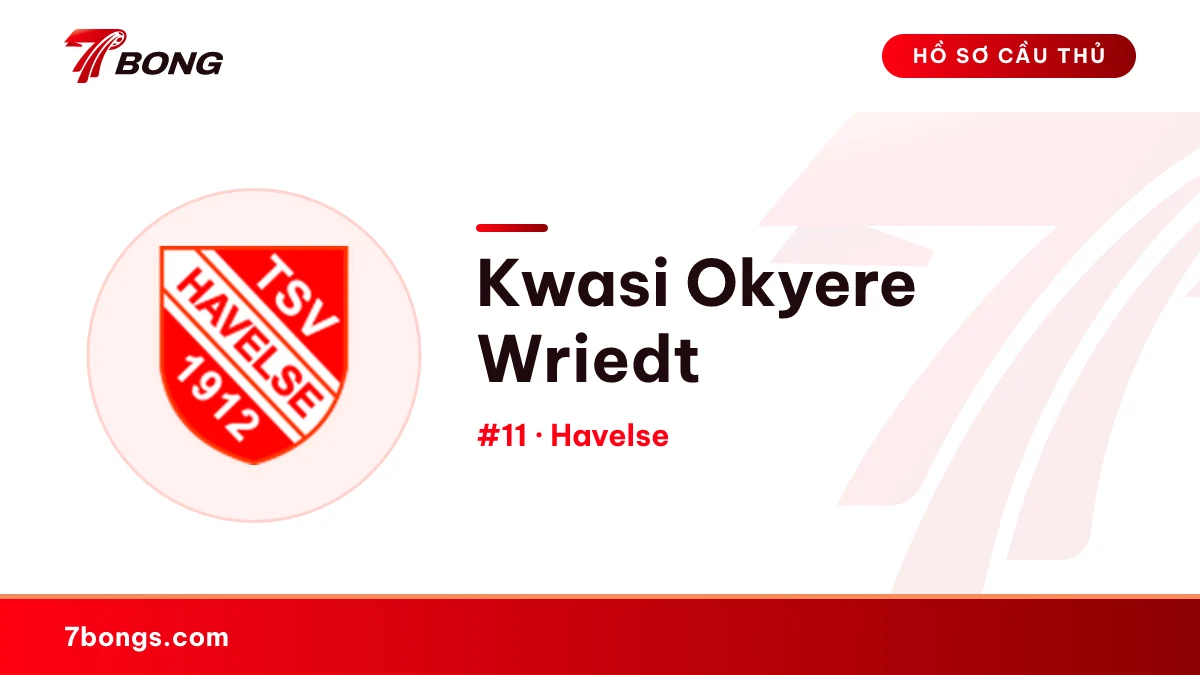 Kwasi Okyere Wriedt — Havelse