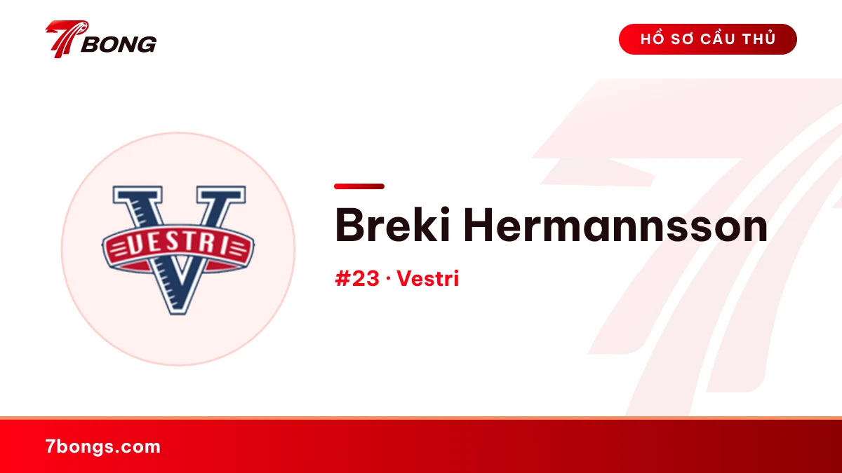 Breki Hermannsson — Vestri