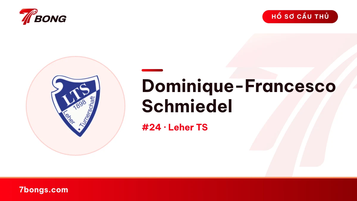 Dominique-Francesco Schmiedel — Leher TS
