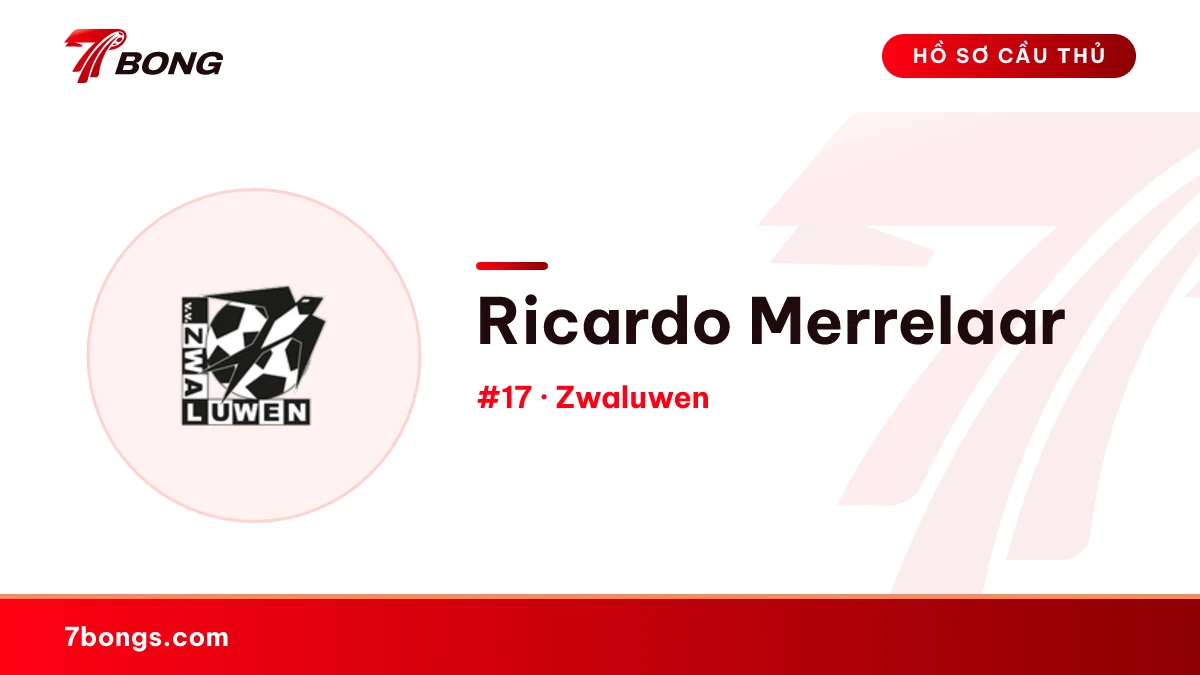 Ricardo Merrelaar — Zwaluwen