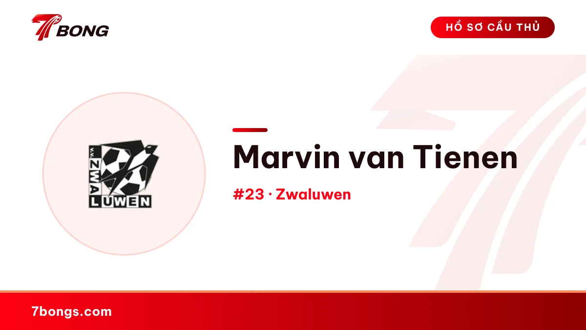 Marvin van Tienen — Zwaluwen