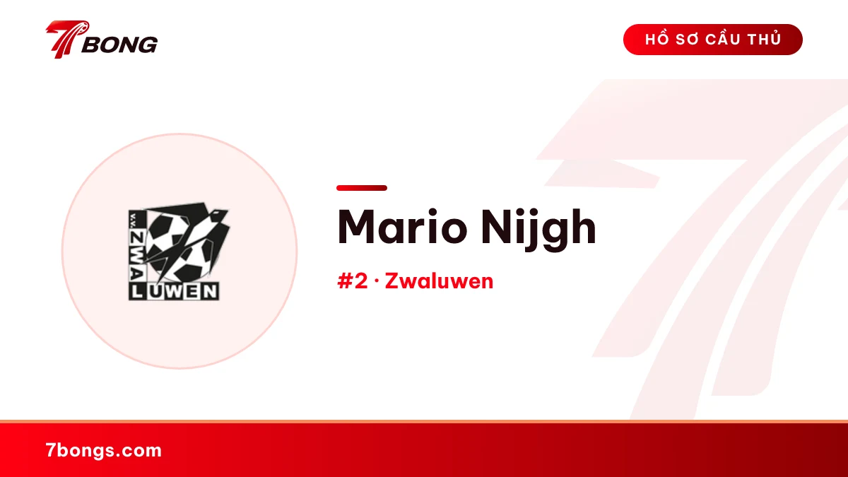 Mario Nijgh — Zwaluwen