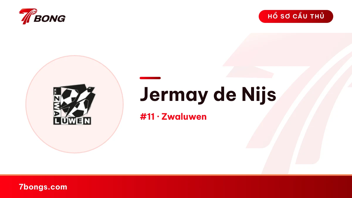 Jermay de Nijs — Zwaluwen