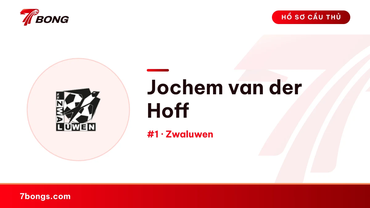 Jochem van der Hoff — Zwaluwen
