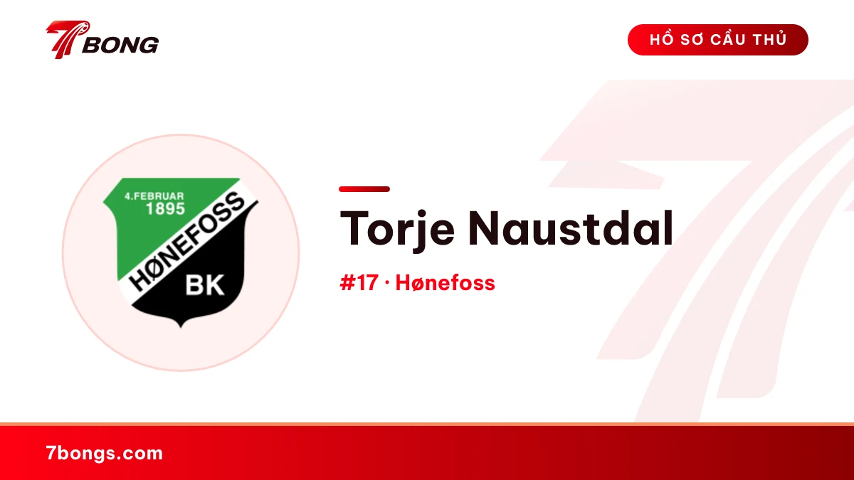Torje Naustdal — Hønefoss