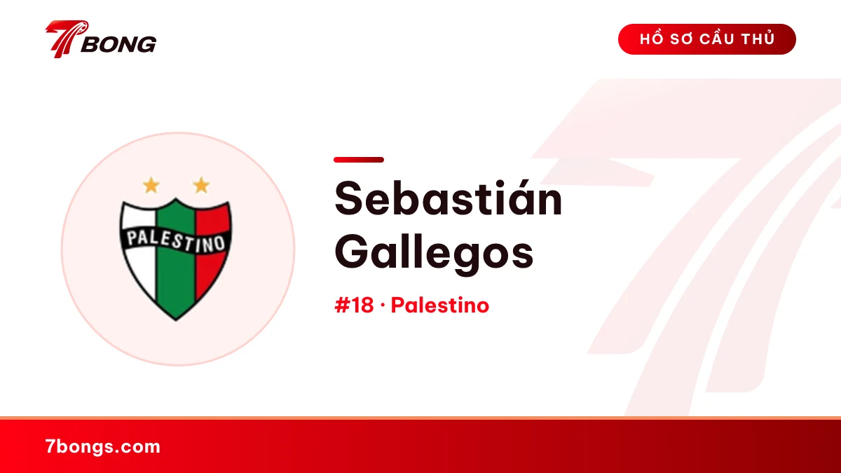 Sebastián Gallegos — Palestino