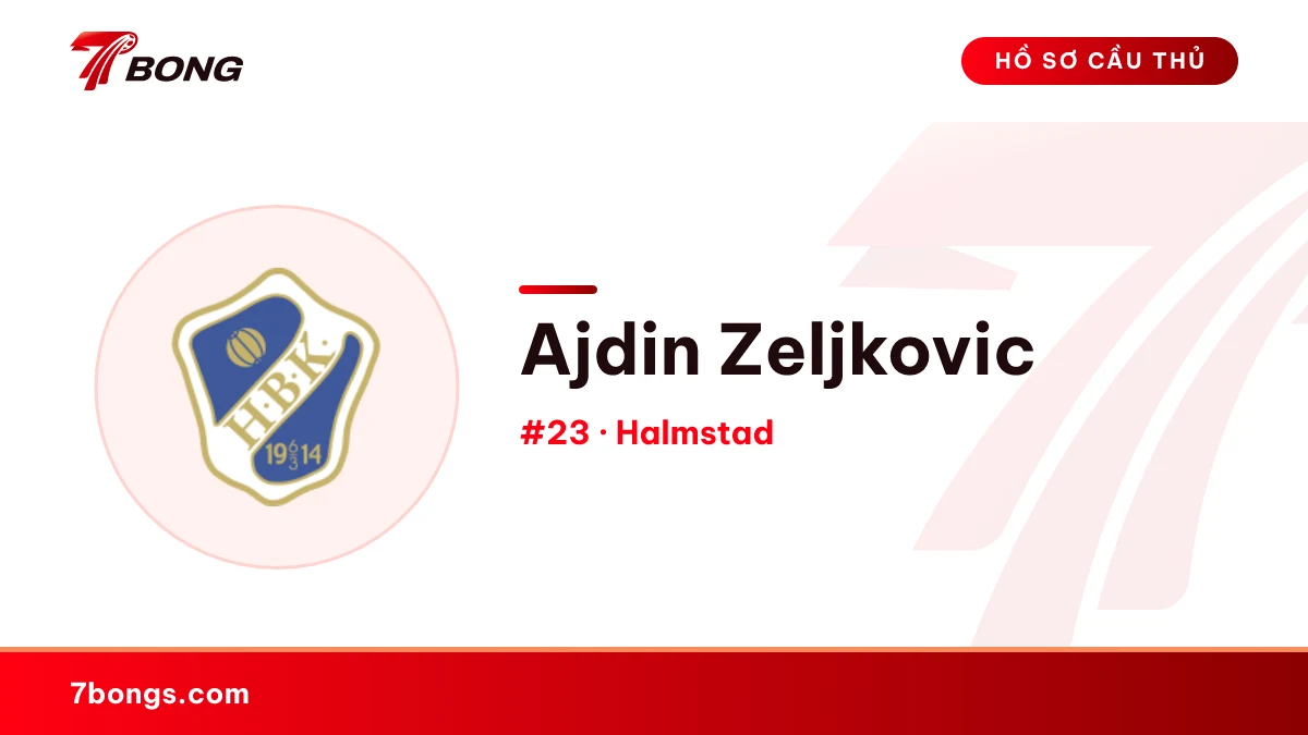 Ajdin Zeljkovic — Halmstad