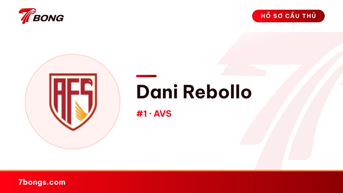 Dani Rebollo — AVS