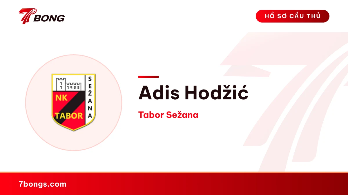 Adis Hodžić — Tabor Sežana