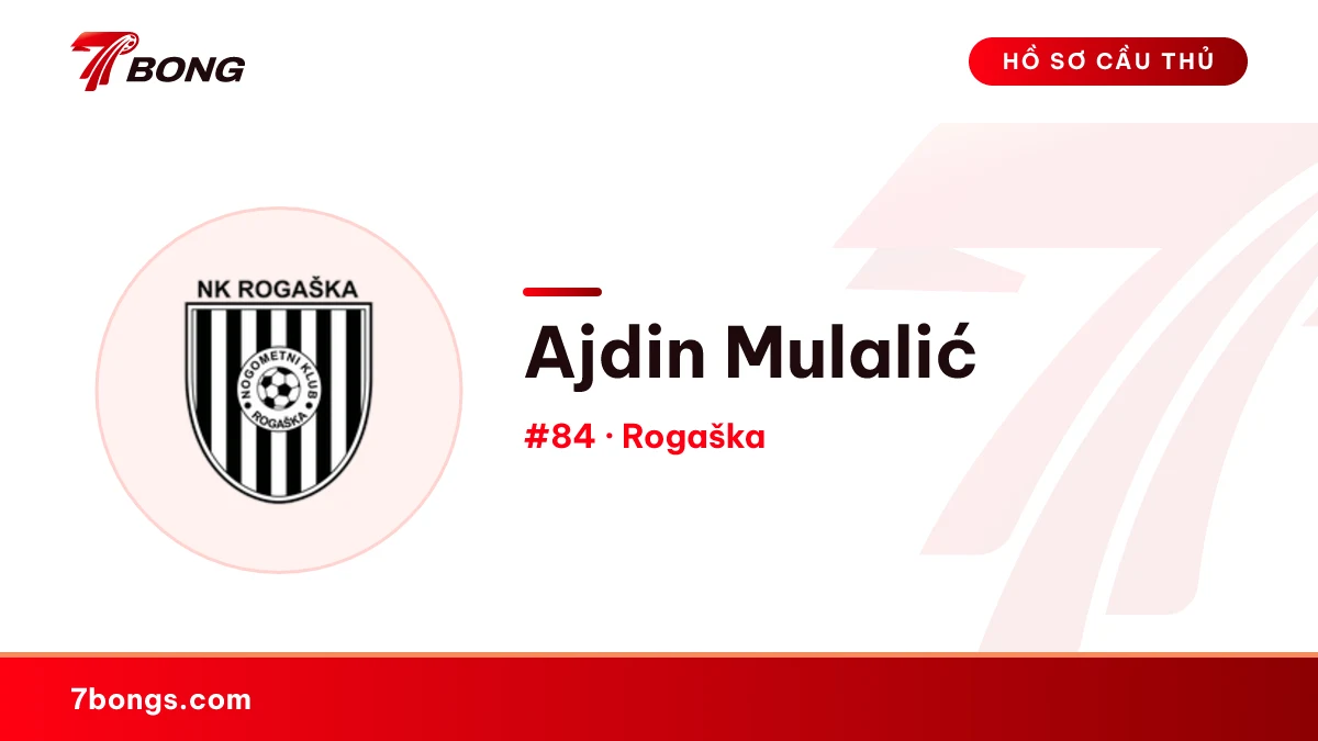 Ajdin Mulalić — Rogaška