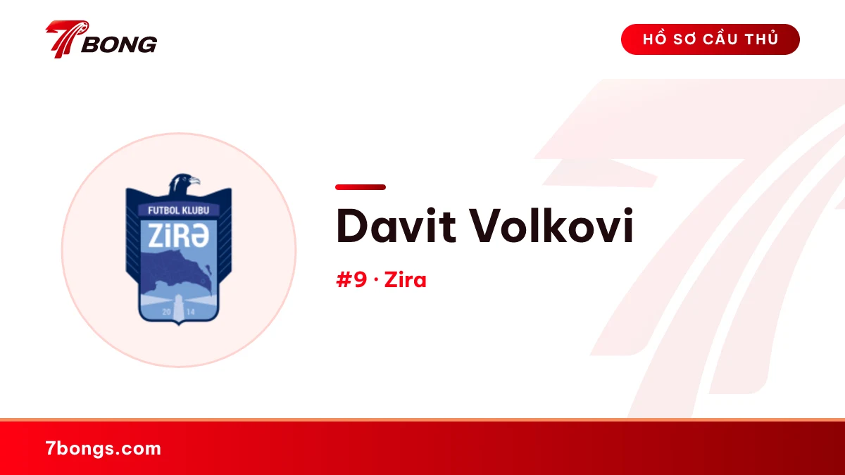 Davit Volkovi — Zira