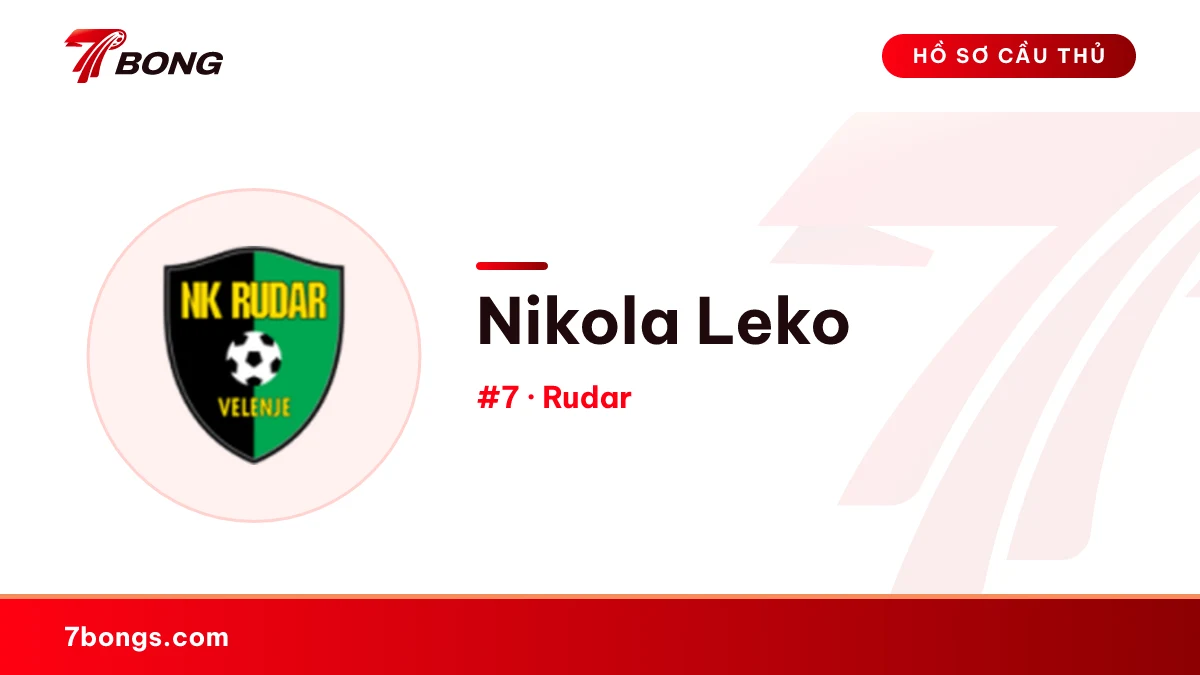 Nikola Leko — Rudar