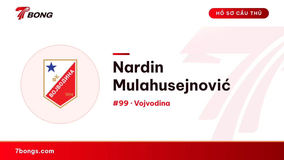 Nardin Mulahusejnović — Vojvodina