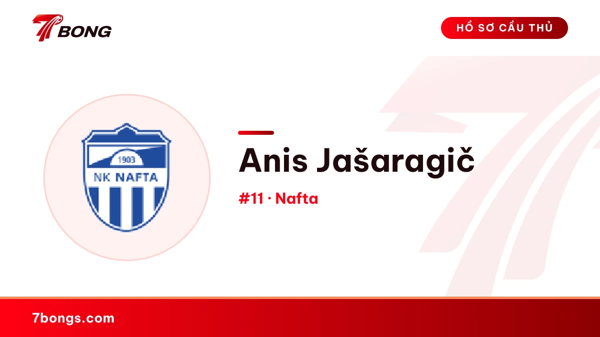 Anis Jašaragič — Nafta