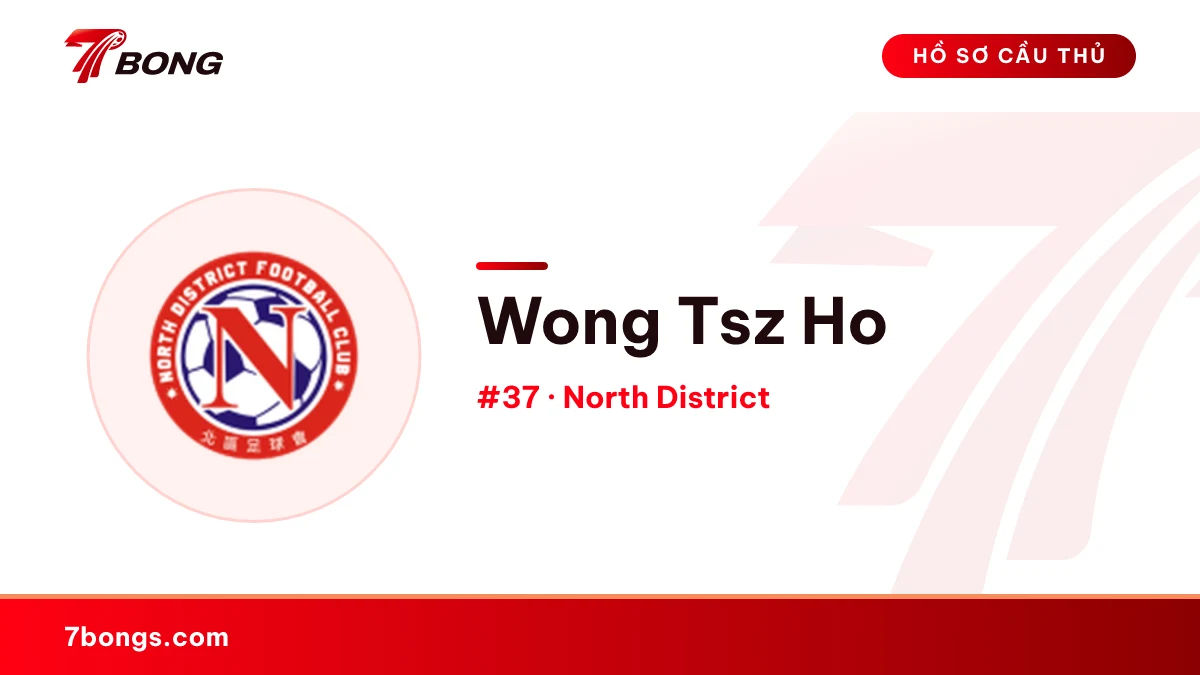 Wong Tsz Ho — North District