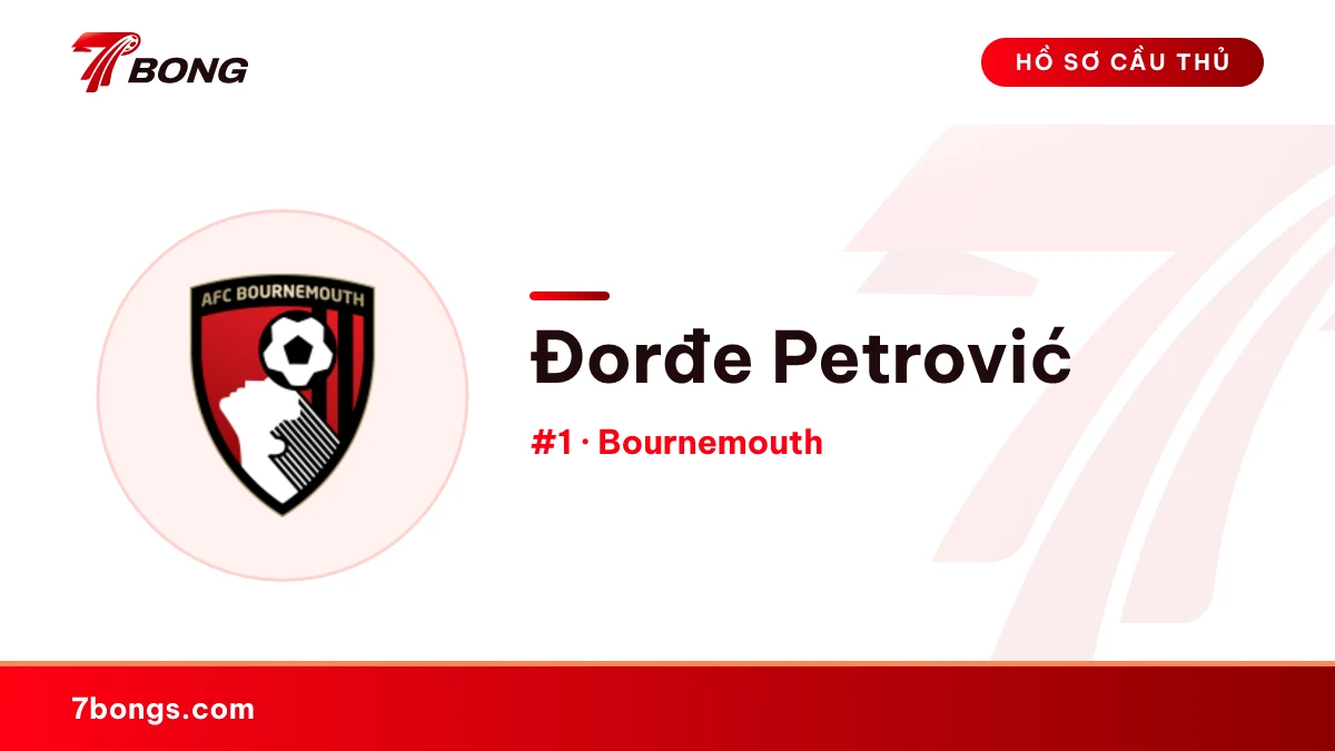 Đorđe Petrović — Bournemouth