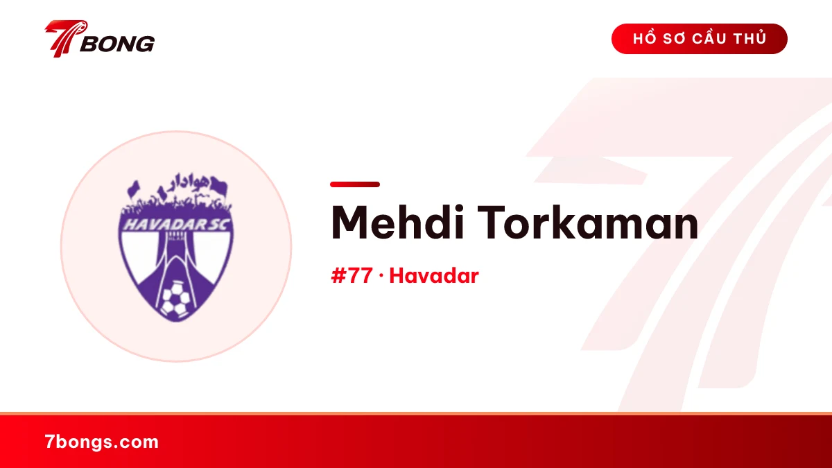Mehdi Torkaman — Havadar