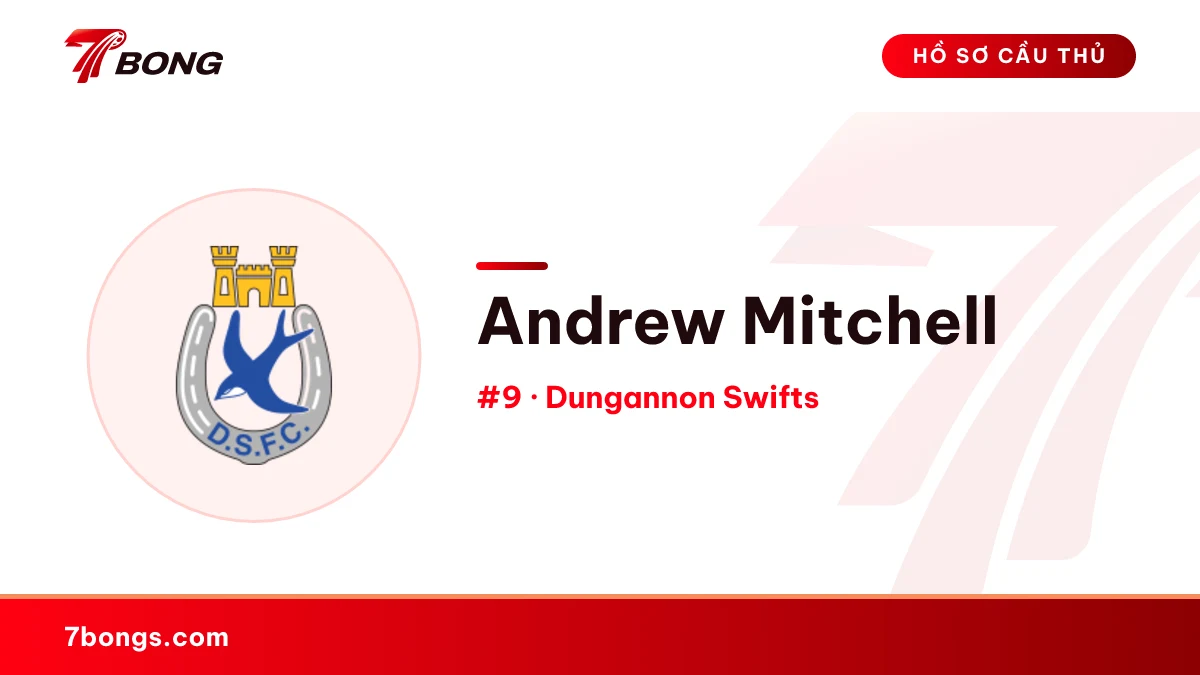 Andrew Mitchell — Dungannon Swifts