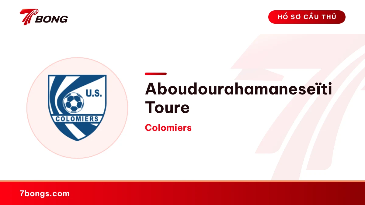 Aboudourahamaneseïti Toure — Colomiers