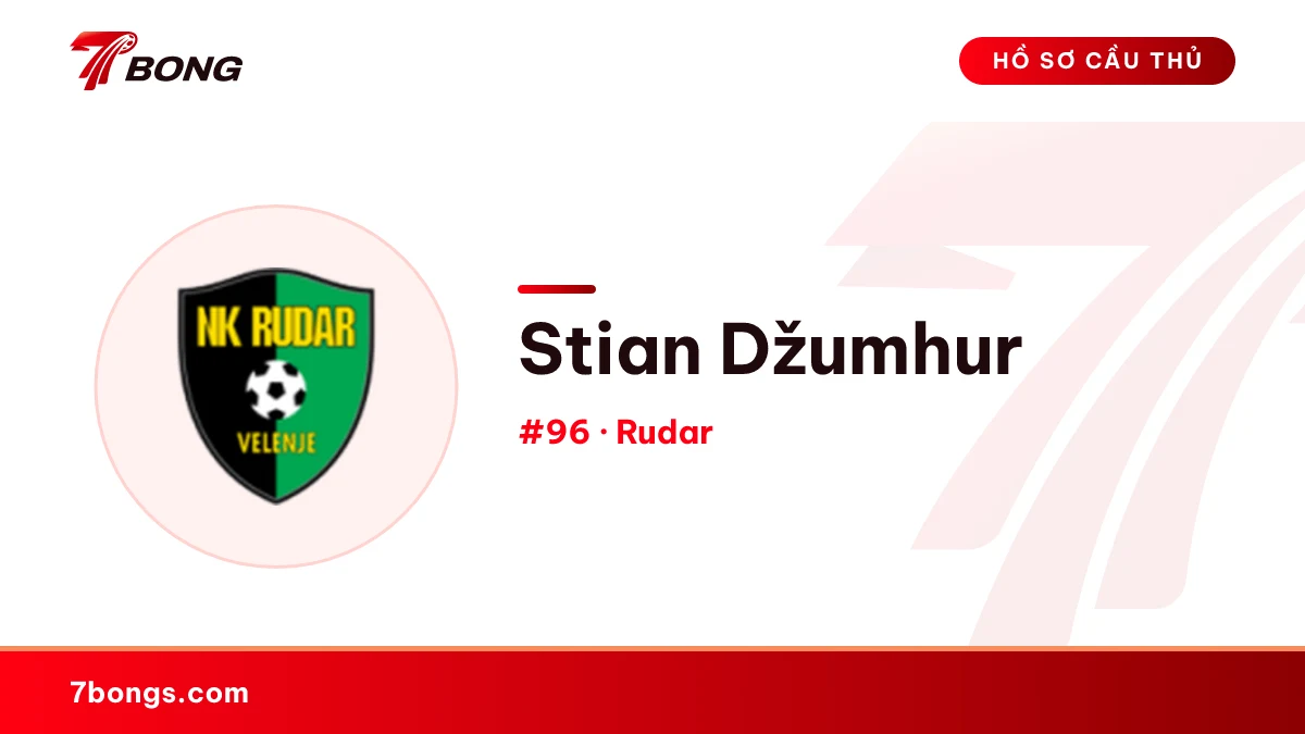 Stian Džumhur — Rudar