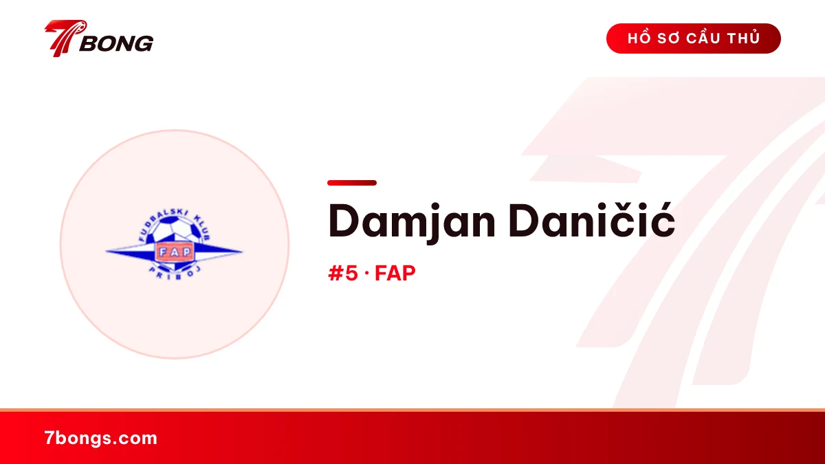 Damjan Daničić — Napredak