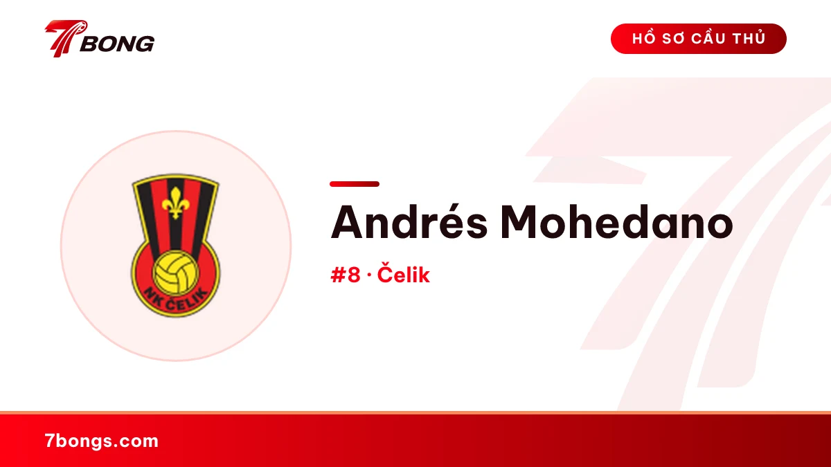 Andrés Mohedano — Čelik