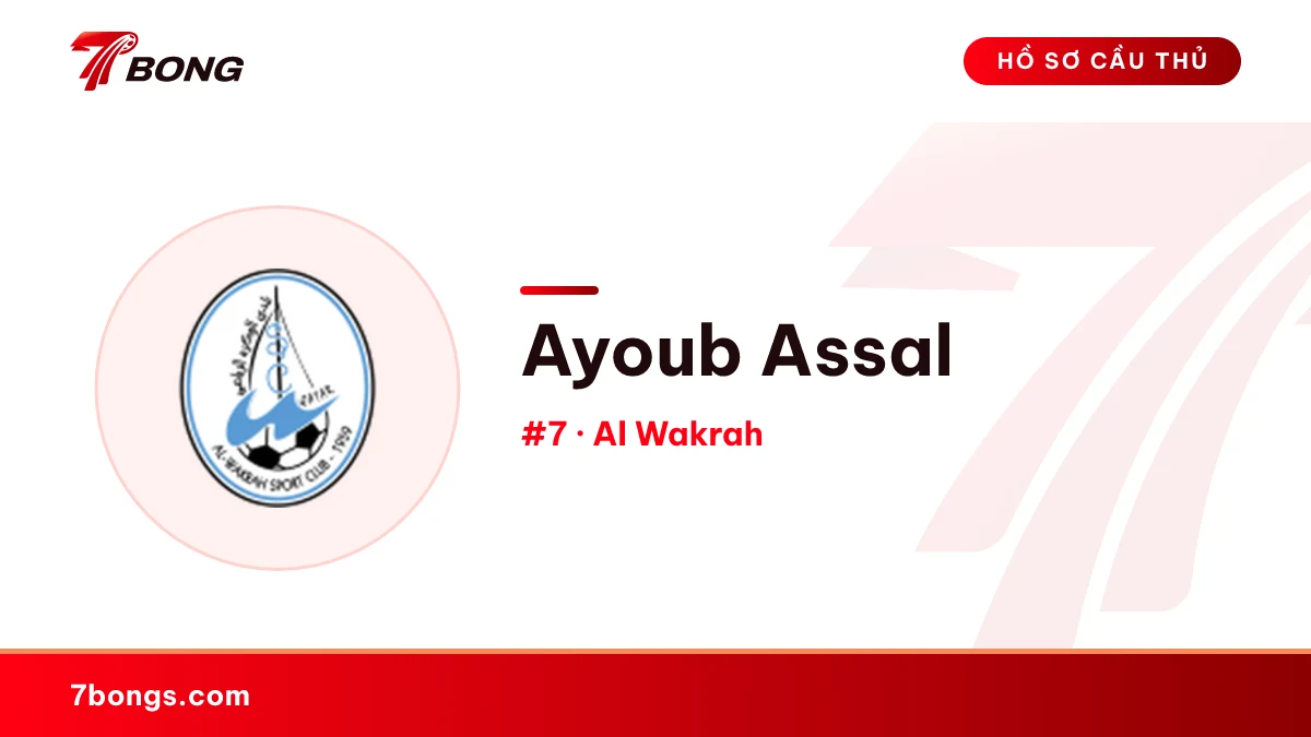 Ayoub Assal — Al Wakrah