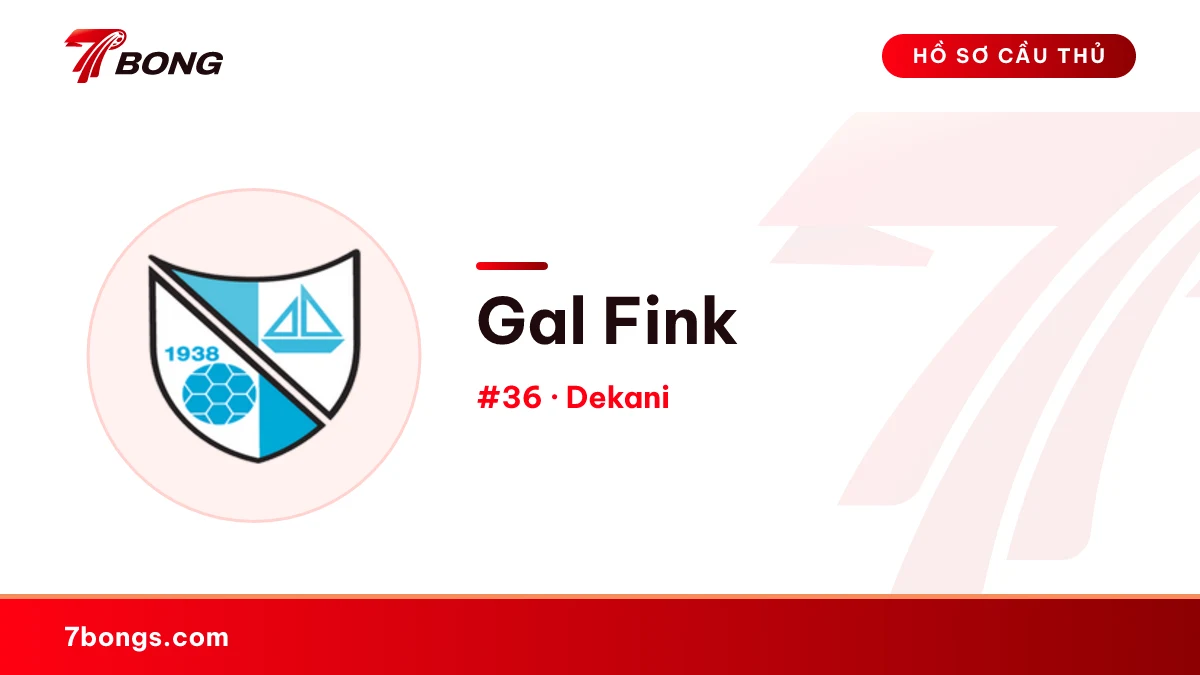 Gal Fink — Dekani