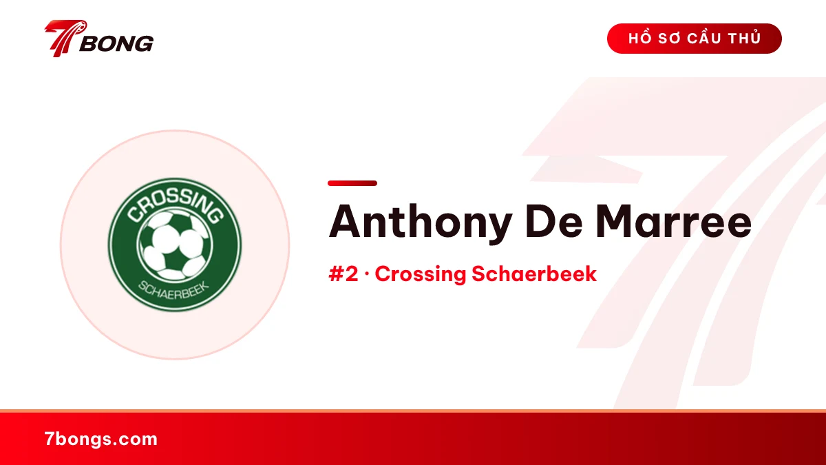Anthony De Marree — Crossing Schaerbeek