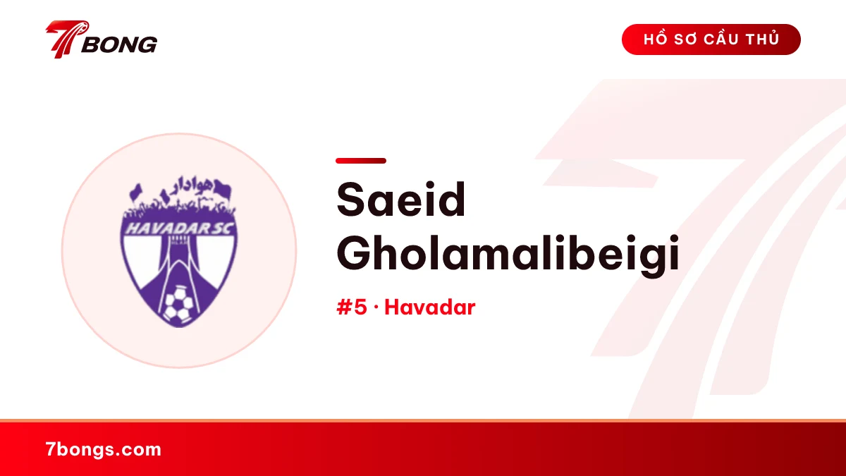 Saeid Gholamalibeigi — Havadar