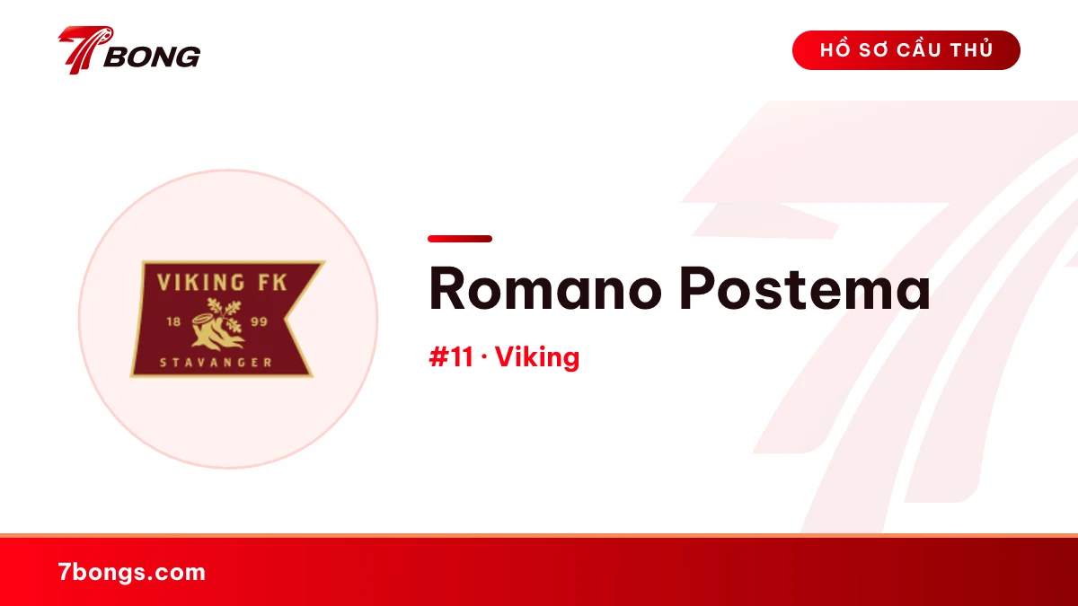 Romano Postema — Viking