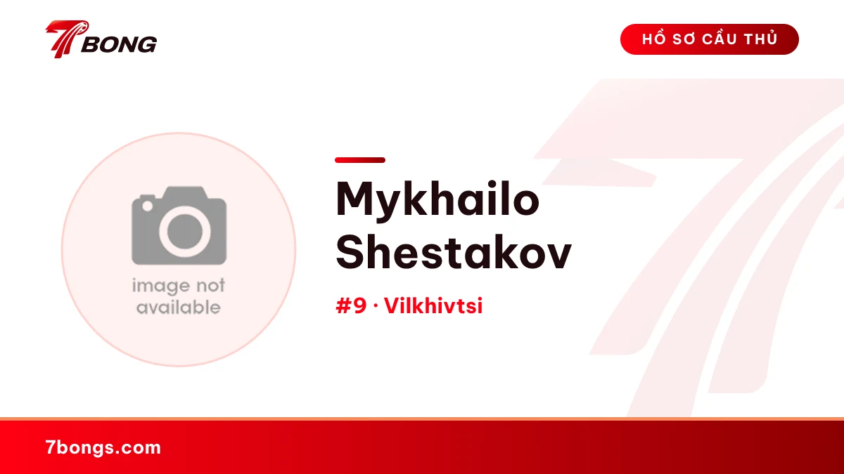 Mykhailo Shestakov — Vilkhivtsi