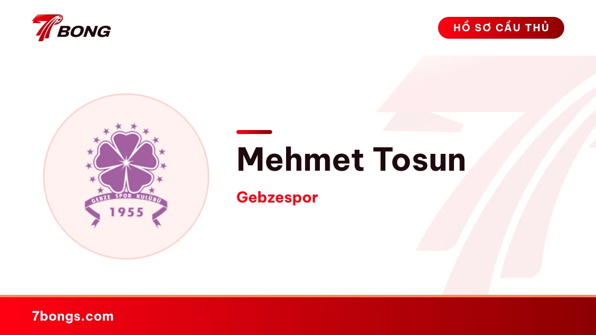Mehmet Tosun — Gebzespor
