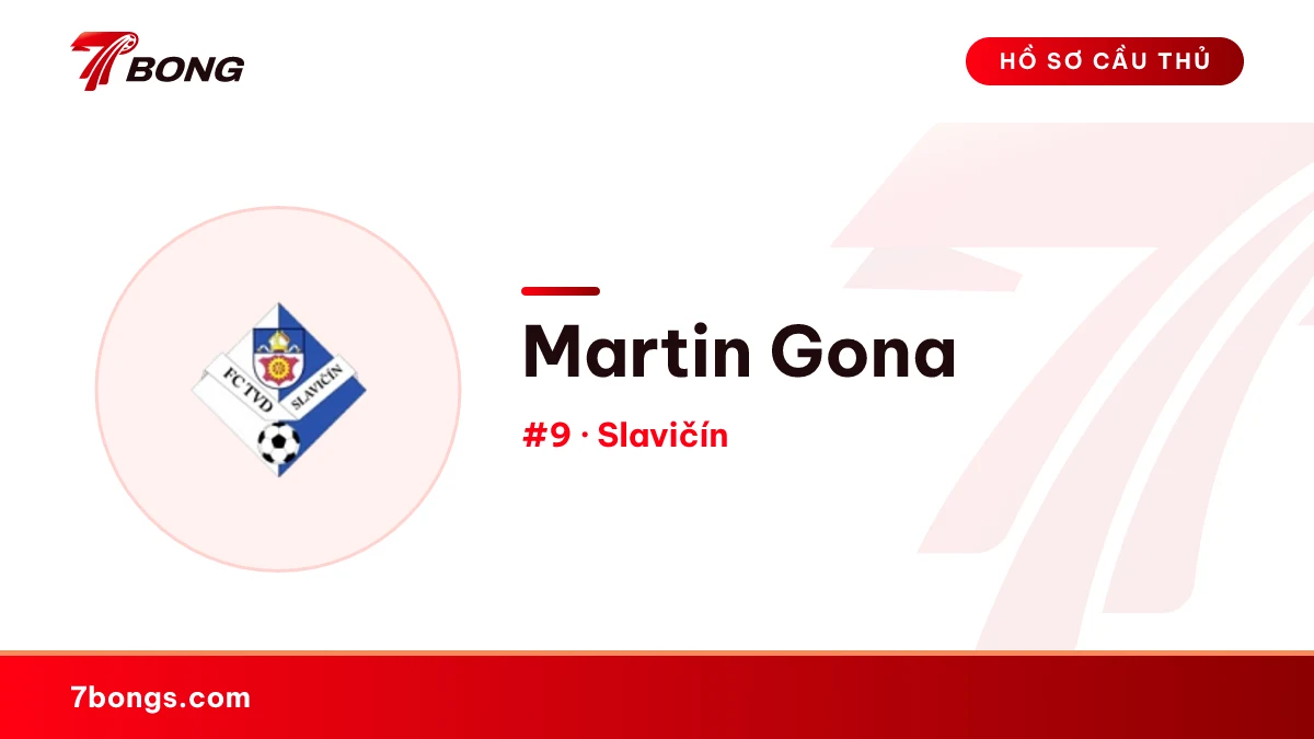 Martin Gona — Slavičín