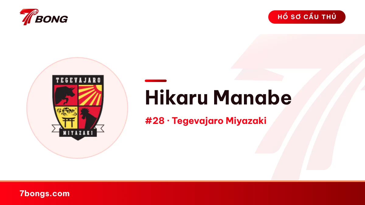 Hikaru Manabe — Tegevajaro Miyazaki