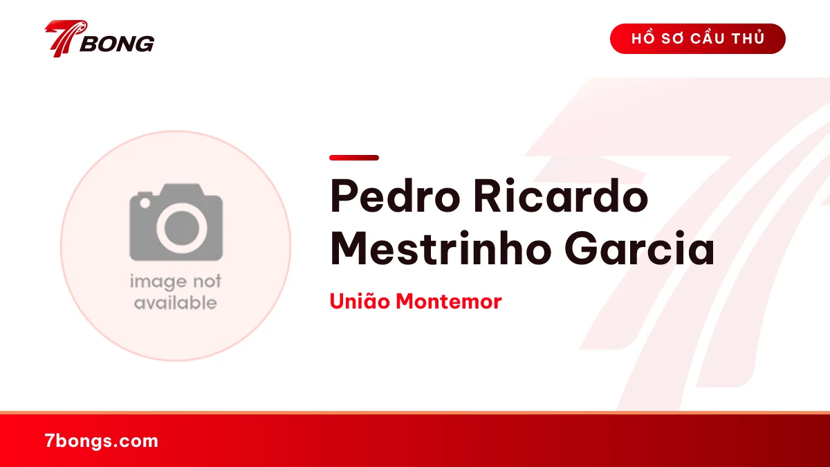 Pedro Ricardo Mestrinho Garcia — União Montemor