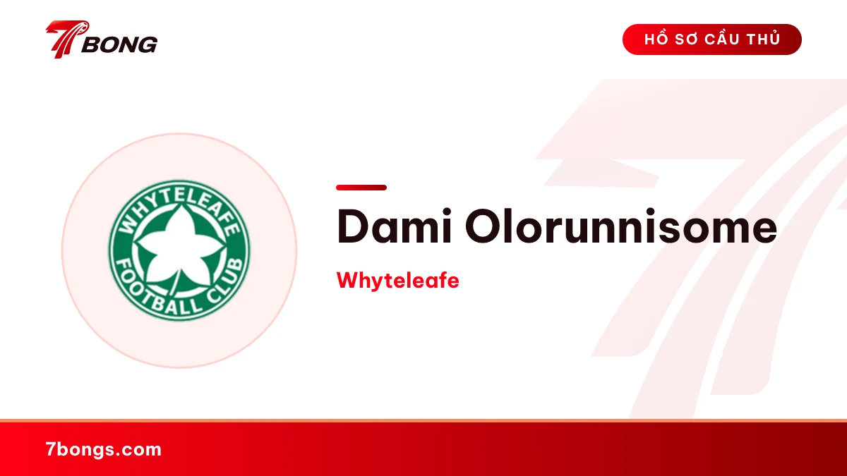 Dami Olorunnisome — Whyteleafe