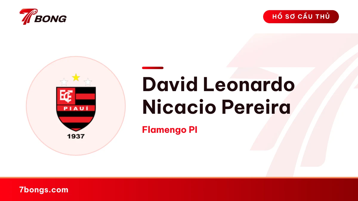 David Leonardo Nicacio Pereira — Flamengo PI