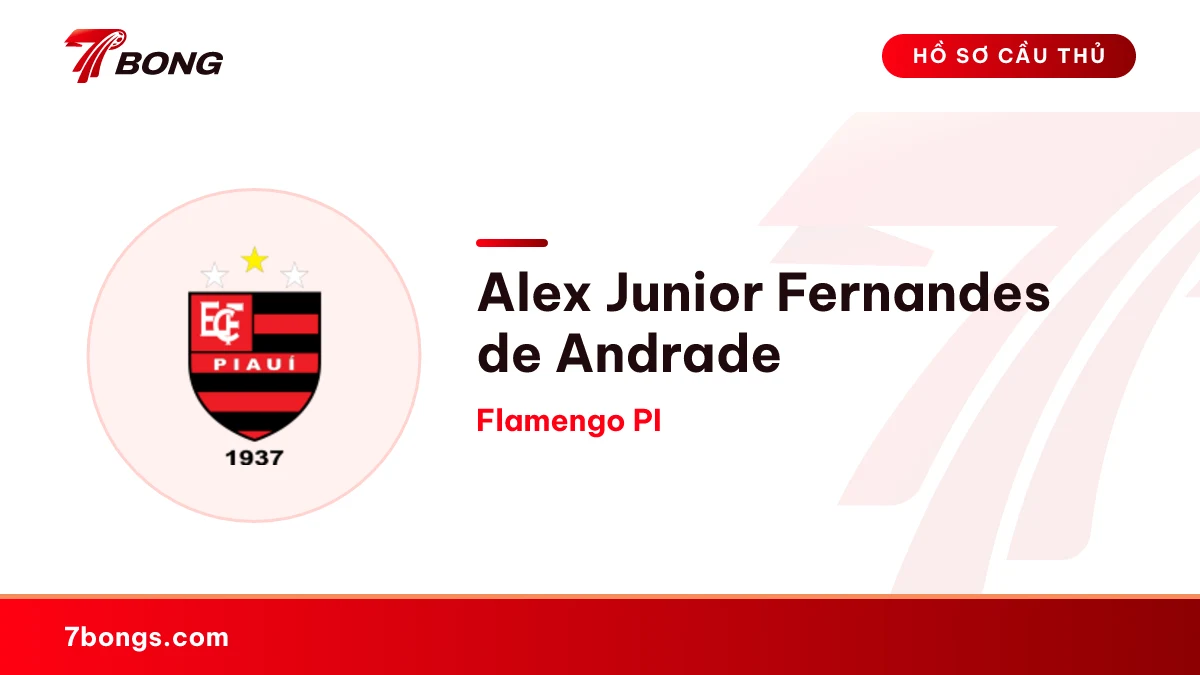 Alex Junior Fernandes de Andrade — Flamengo PI