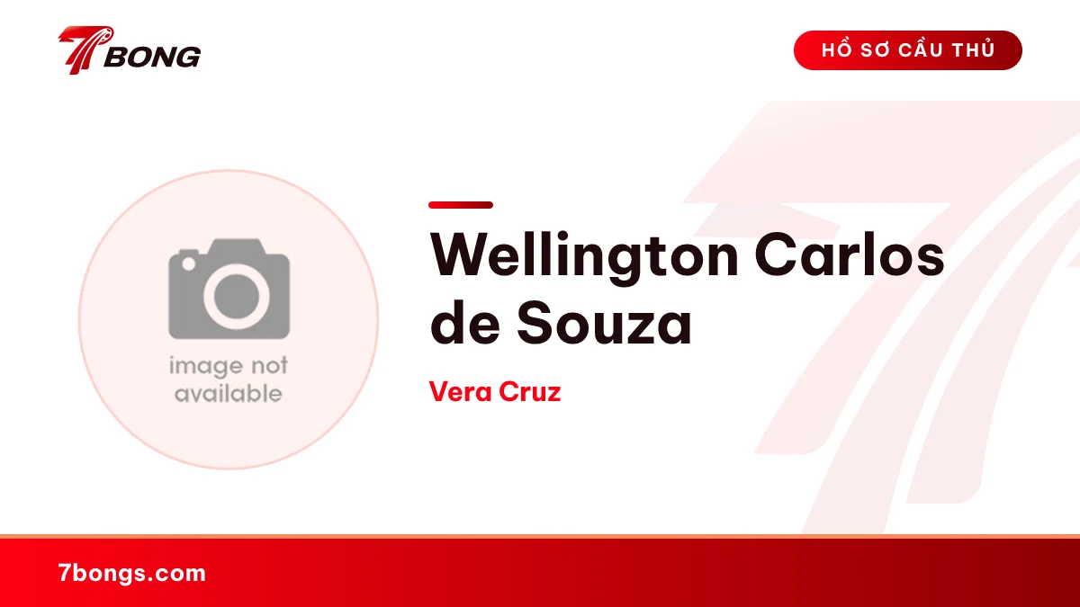 Wellington Carlos de Souza — Vera Cruz