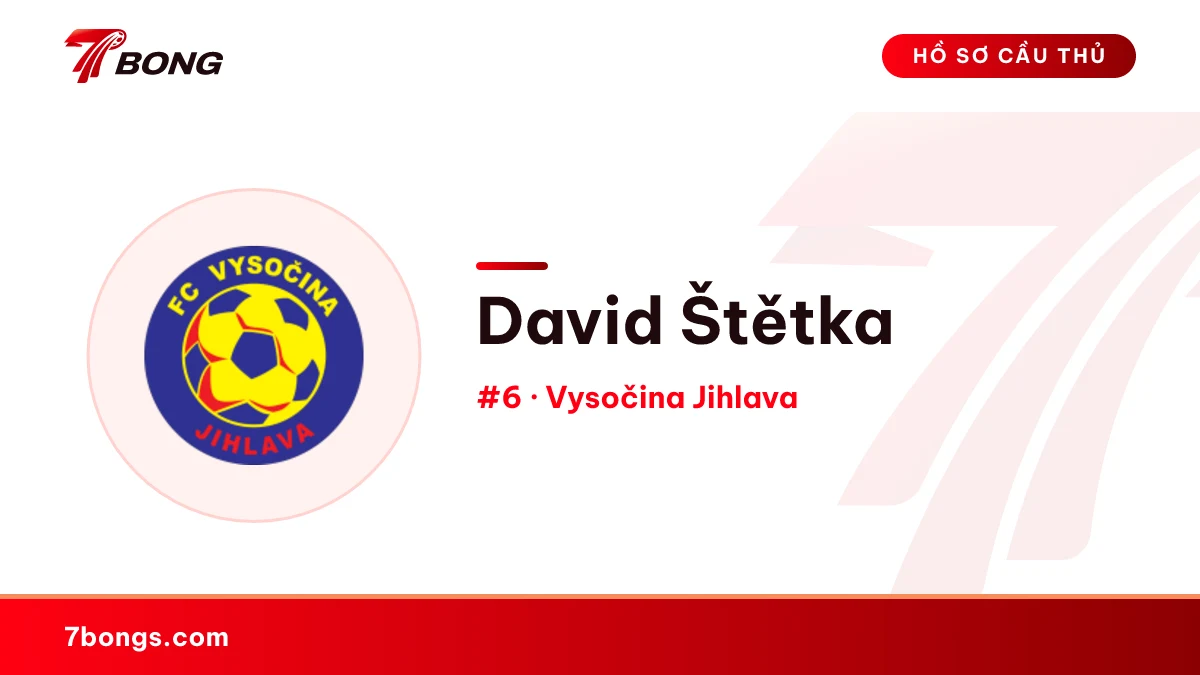 David Štětka — Vysočina Jihlava