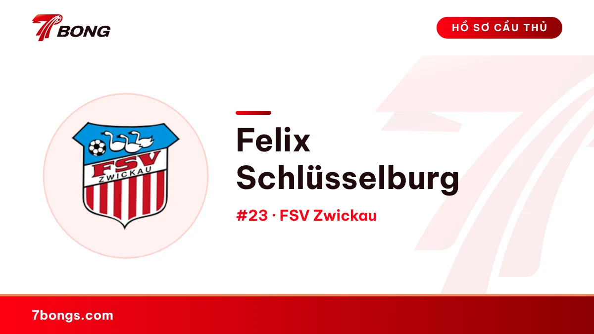 Felix Schlüsselburg — FSV Zwickau