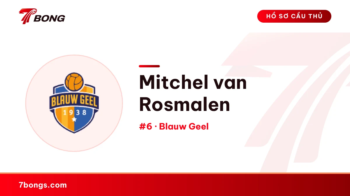 Mitchel van Rosmalen — Blauw Geel