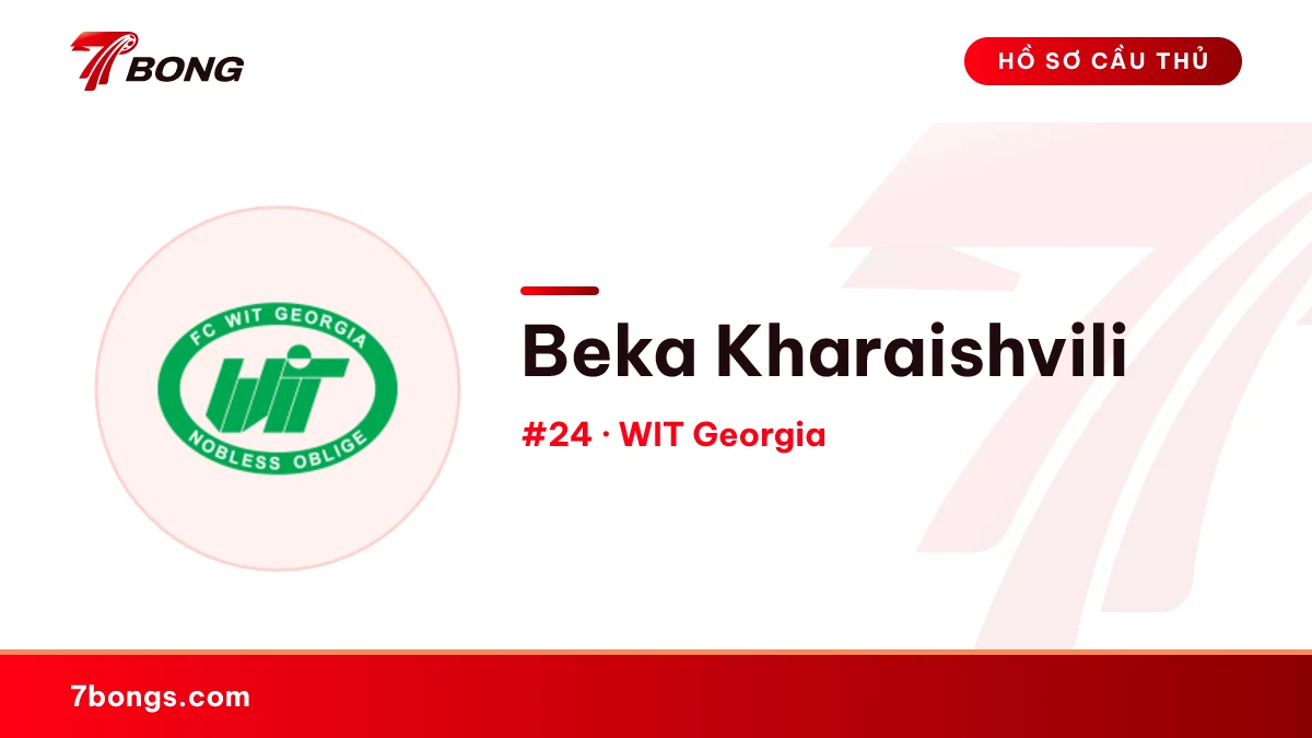 Beka Kharaishvili — WIT Georgia