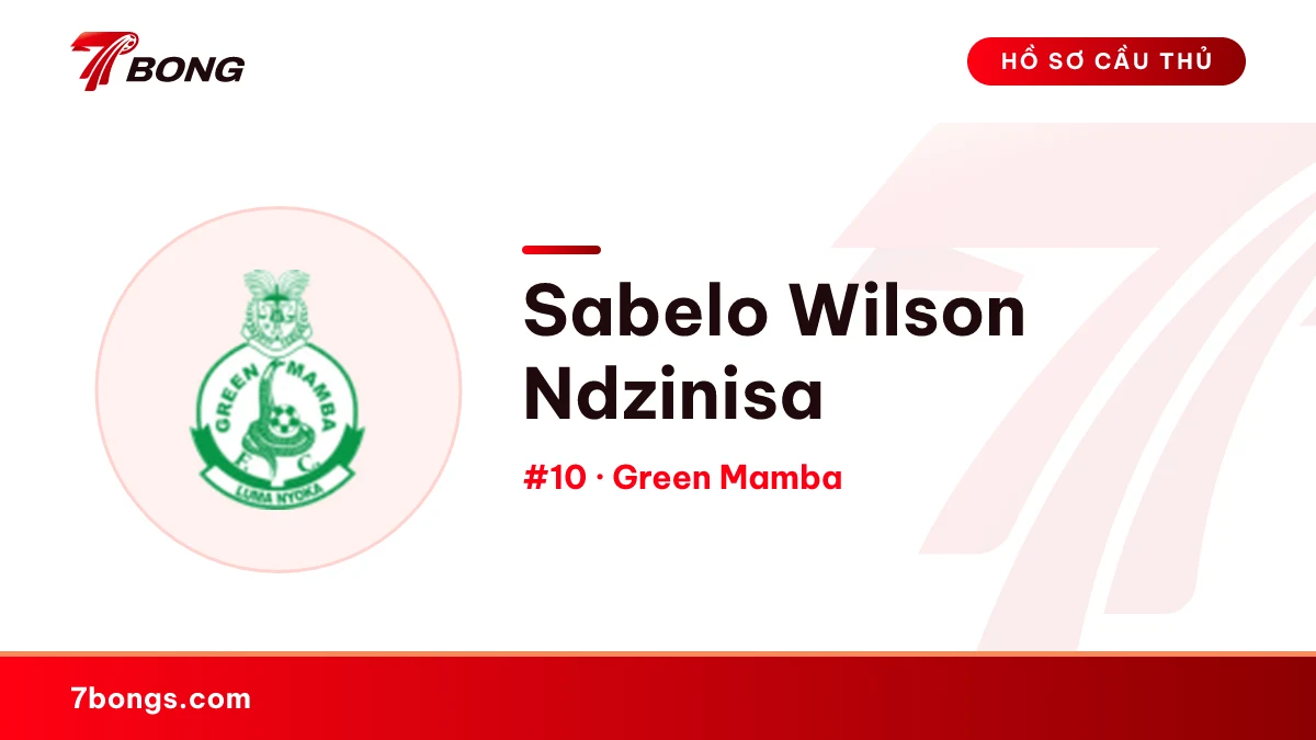 Sabelo Wilson Ndzinisa — Green Mamba