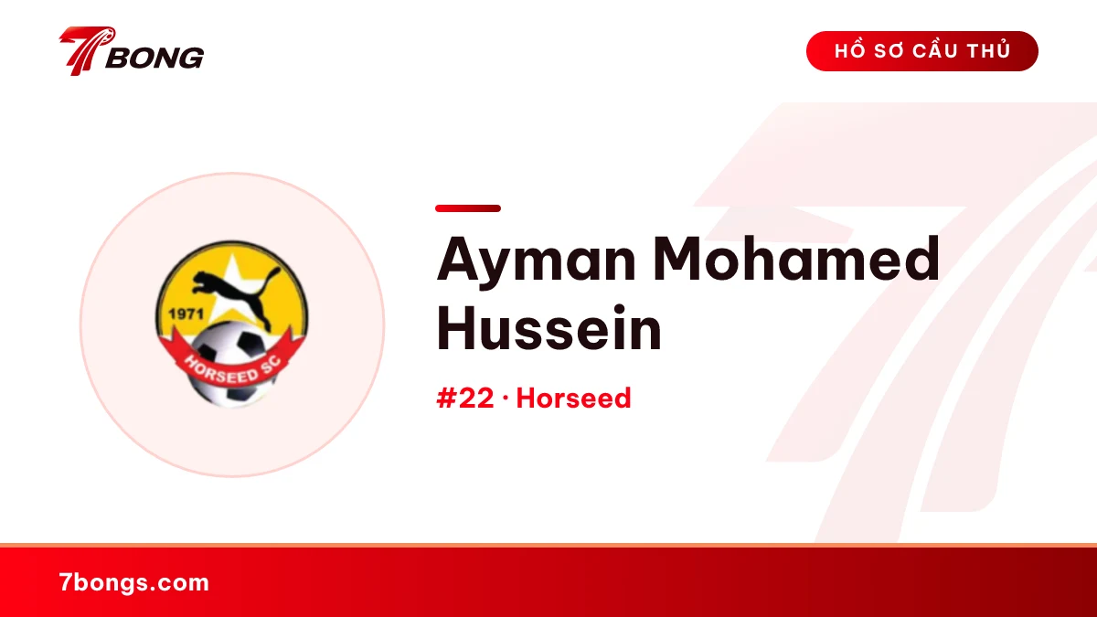 Ayman Mohamed Hussein — Horseed