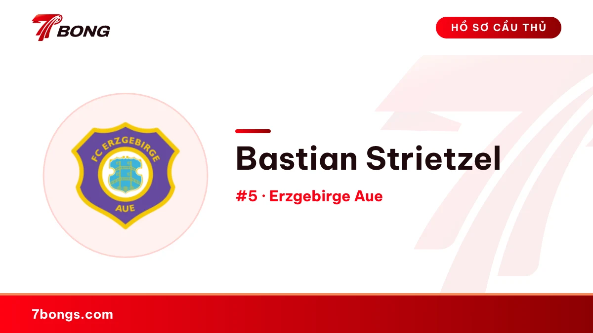 Bastian Strietzel — Erzgebirge Aue