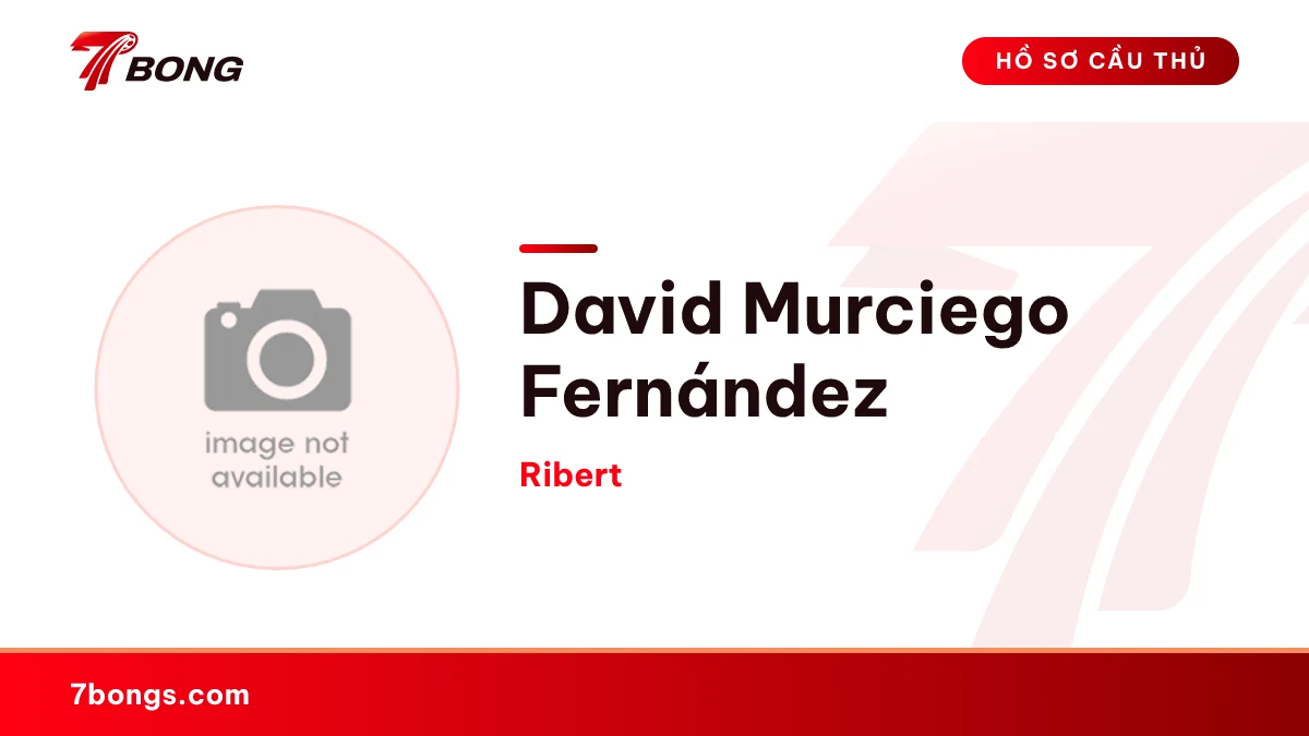 David Murciego Fernández — Ribert