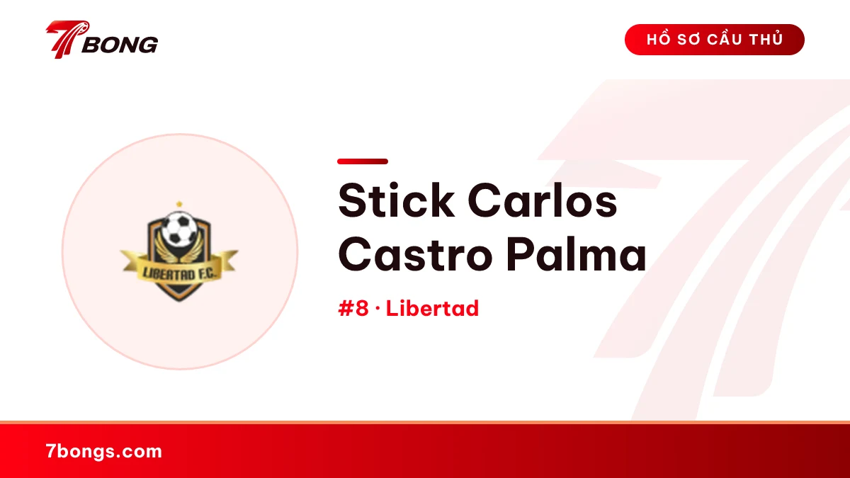 Stick Carlos Castro Palma — Libertad