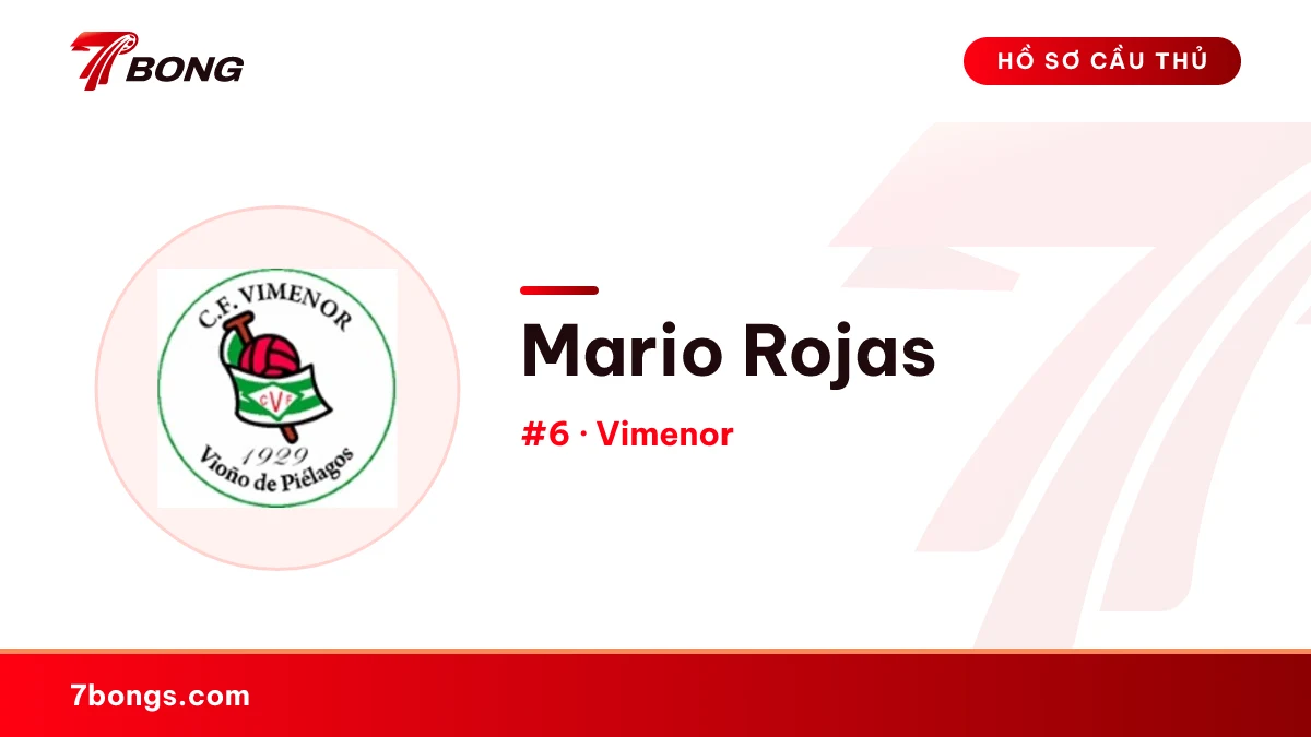 Mario Rojas — Vimenor